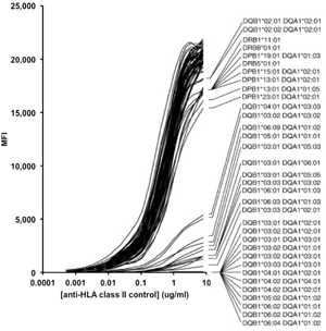 Fluorescent dose response obtained by binding of anti-HLA class II control to LABScreen® Single Antigen beads