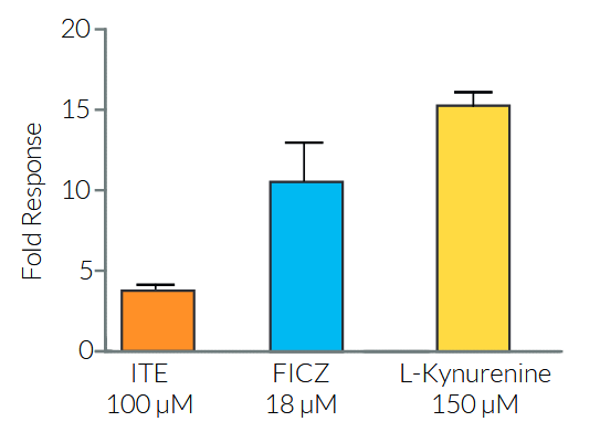 Evaluation of AhR-induced responses in HT29-Lucia™ AhR cells.