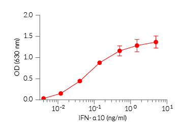 Cellular response to human IFN-α10