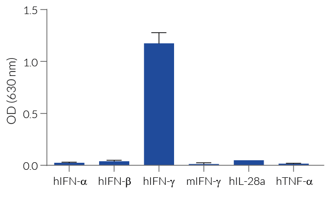 HEK-Blue™ IFN-γ specificity