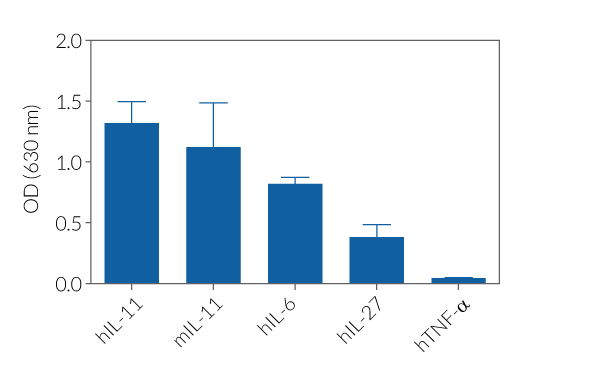 HEK-Blue™ IL-11 specificity