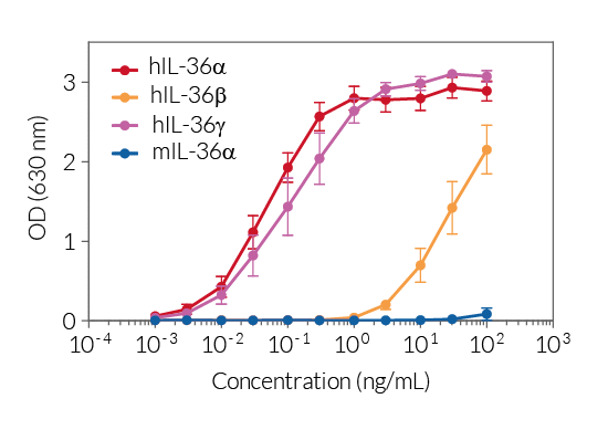 Cellular response to IL-36