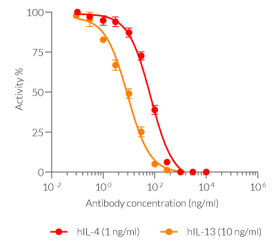 Neutralization of cellular response to IL-4 and IL-13 using Dupilumab biosimilar