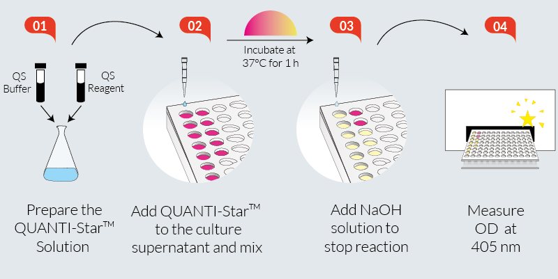 QUANTI-Star™ 96-well procedure