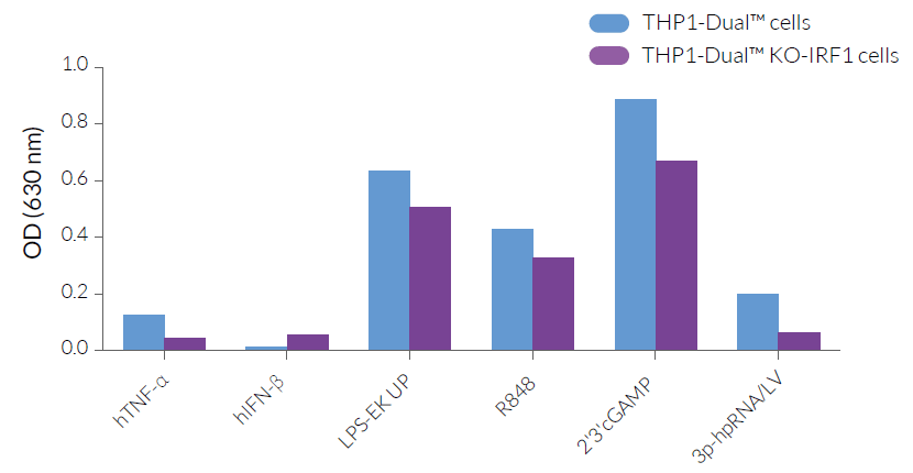 Functional validation of IRF1 knockout (NF-κB response)