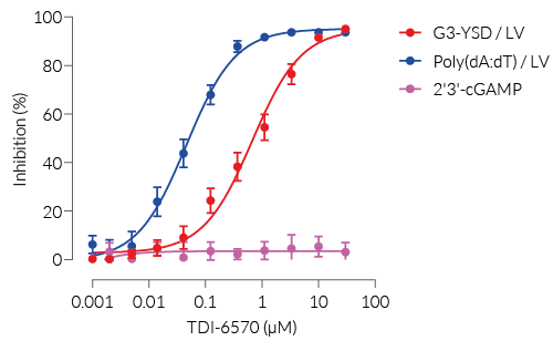 Dose-dependent inhibition of mouse cGAS