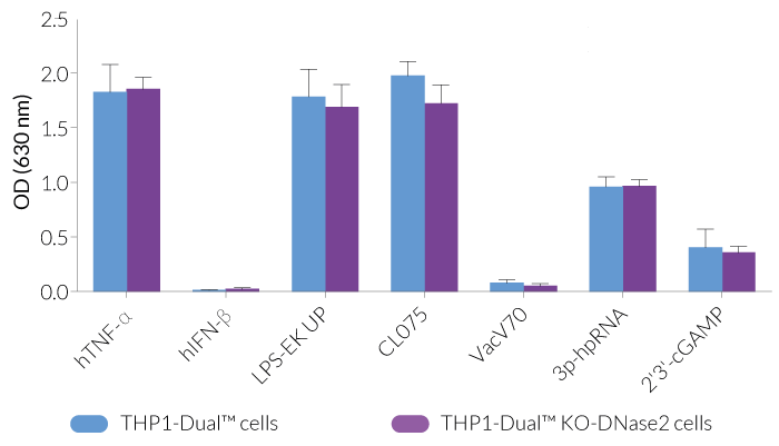 Functional validation of DNASE2 knockout (NF-κB response)