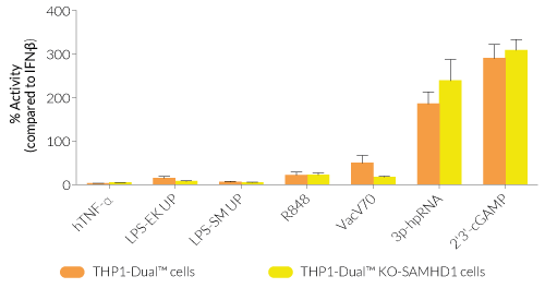 Functional validation of SAMHD1 knockout (IRF response)