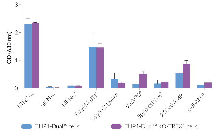 Functional validation of TREX1 knockout (NF-κB response)