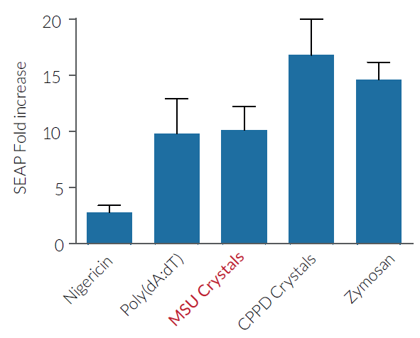 Evaluation of inflammasome activation with MSU Crystals