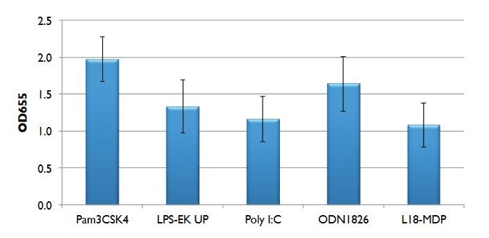 NF-κB Reponse of J774-Dual cells to PRR ligands