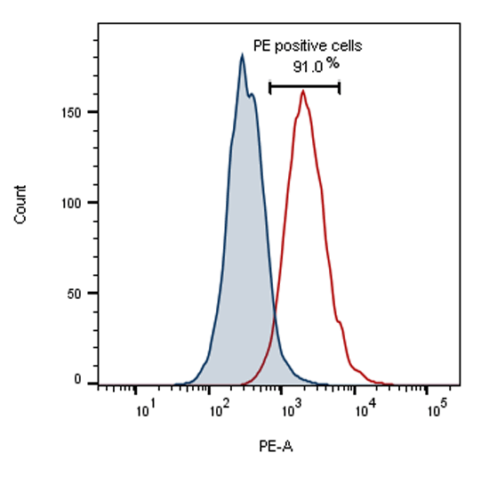 Binding of Poly(I:C) HMW Biotin to TLR3