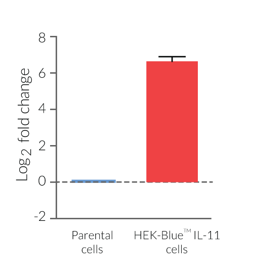 Validation of IL-11Rα expression