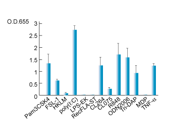 NF-kB/AP-1 activation in Ramos-Blue™ cells induced by various activators