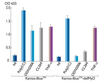 MyD88 dependent and independent responses in Ramos-Blue™ and Ramos-Blue™-defMyD