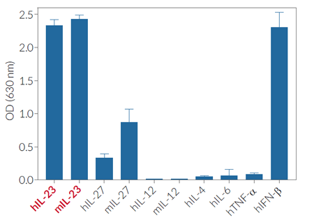 HEK-Blue™ IL-23 specificity