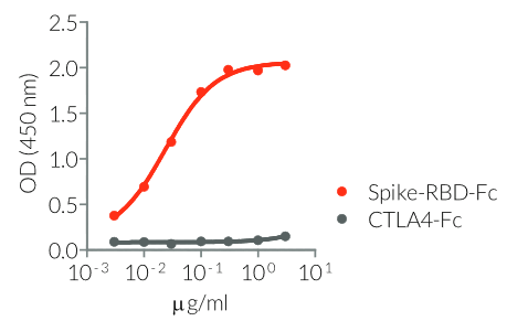 Recognition of Spike-RBD-Fc by anAnti-SARS-CoV-Spike human IgM