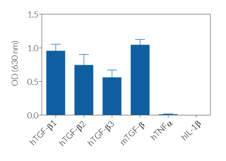 HEK-Blue™ TGF-β specificity