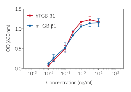 Cellular response to TGF-β