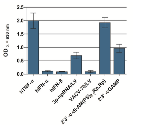 Evaluation of NF-κB expression