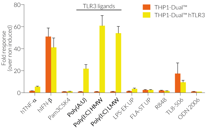 Functional validation of IRF response