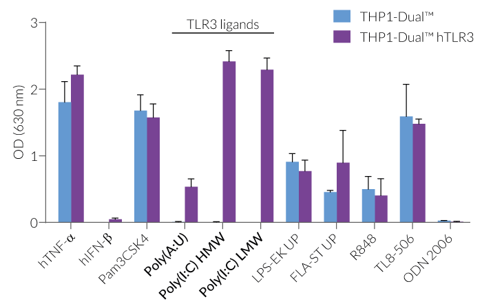 Functional validation of NF-κB response