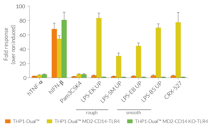 Functional validation of IRF response