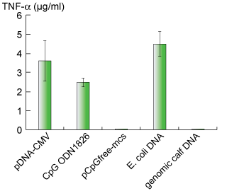 DNA-induced immune response