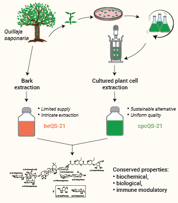 Principle of MPLA-SM extraction