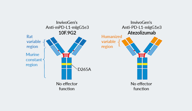 TiGer Tet-on System - Inducible Protein Expression