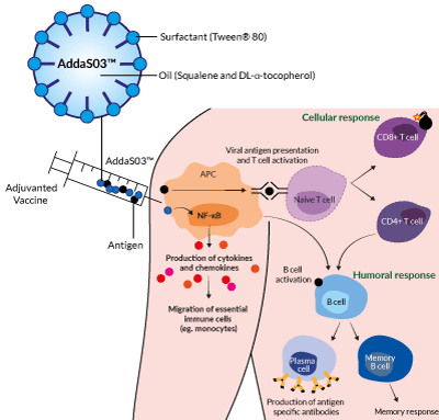 Composition and immune responses to AddaS03™