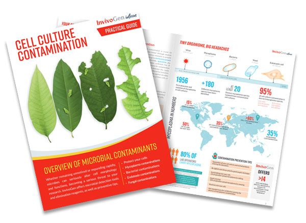 PRACTICAL GUIDE: CELL CULTURE CONTAMINATION