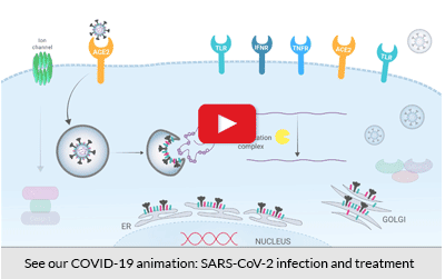 COVID-19 Animation