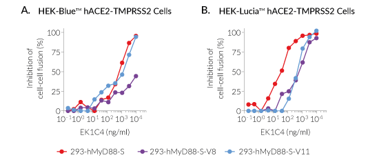 Inbibition of Spike-mediated cell fusion by EK1C4