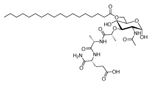 Structure of L18-MDP