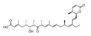 Chemical structure of Leptomycin B