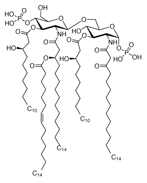 Structure of lipid A from Rhodobacter sphaeroides