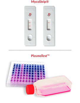 InvivoGen's Mycoplasma Detection Kits