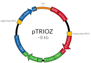 pTRIOZ