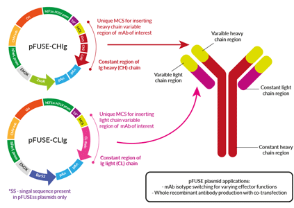 pFUSE plasmid collection