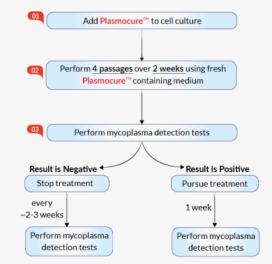 Cell culture treatment using Plasmocure™