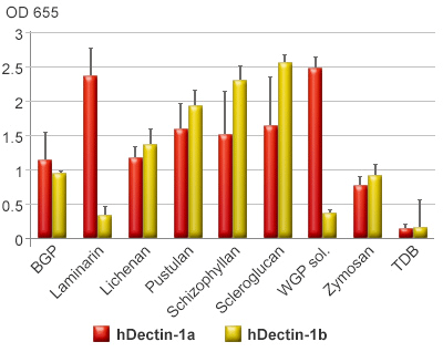 Stimulatory activity of Dectin-1 ligands