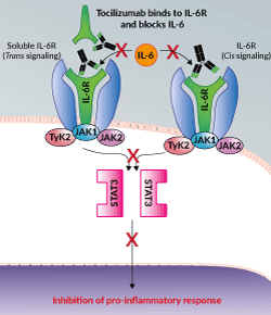 tocilizumab